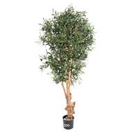 Olivier artificiel avec olives en pot tronc bois noueux  H 170 cm Vert D 80 cm