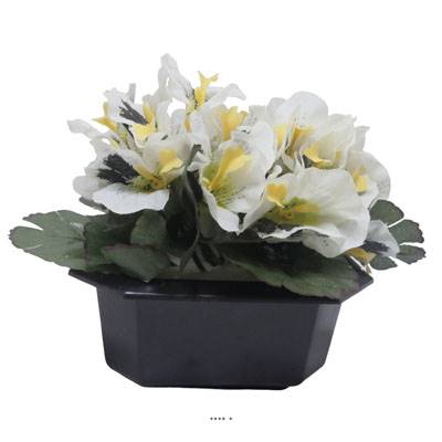 Bac carré fleurs artificielles Pensées Crème pour la Toussaint