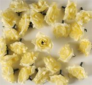 têtes de rose Artificielle X 24 Champagne D 5 cm pour Boule de rose
