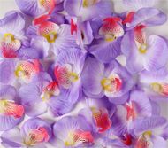 ttes d'orchidees X 20 Lavande en sachet D 6 cm