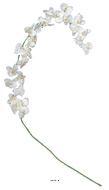Orchidée en tige retombant H190cm 32 fleurons 5 boutons fermés PE Crème