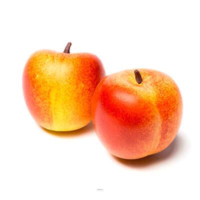 Peche artificielle en lot de 2 en Plastique soufflé D 70 mm