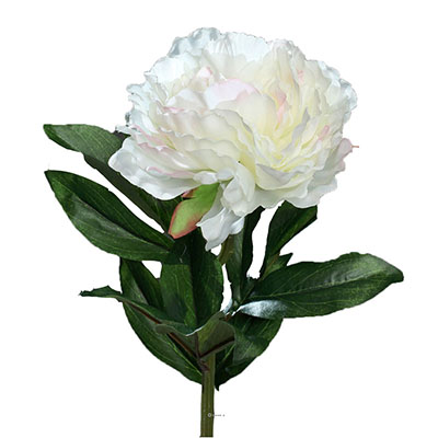 Pivoine artificielle crème Rose H 63 cm très belle tête