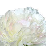 Pivoine artificielle crème Rose H 63 cm très belle tête