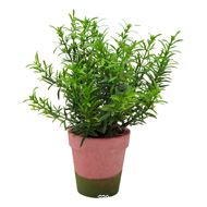 Herbe aromatique artificielle Romarin superbe de réalisme