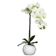 Orchidee artificielle crème Vert1 hampe en pot Ceramique Blanc H 46 cm