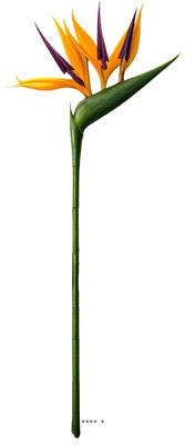 Strelitzia Arabica artificiel H 62 cm oiseau du paradis tête latex