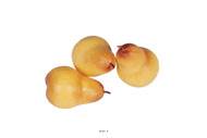 Poire William fruit Jaune rouge X 3 Plastique souffl D 65x95 mm