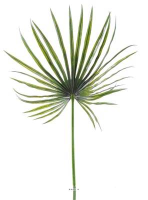 Feuille palmier Chamaerops artificielle H 130 cm D 55 cm PE extérieur