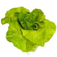 Salade coeur de laitue legume artificiel H 14 cm et D14 cm Latex