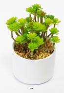 Sedum Cactus Agave plante factice en pot céramique H20cm Vert Type A