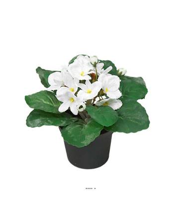 Saint Paulia artificiel en pot H 16 cm très fleuri Crème