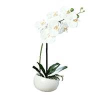 Orchidée factice 1 hampe coupe céramique H40cm touché réel Blanc neige