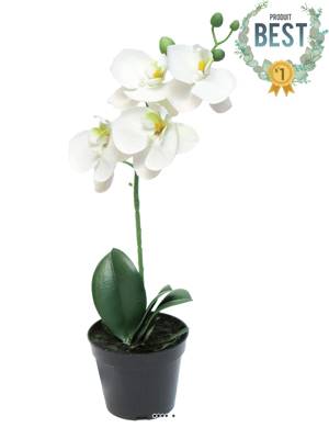 Orchidée Phalaenopsis factice en pot qualité déco H35cm Crème - BEST