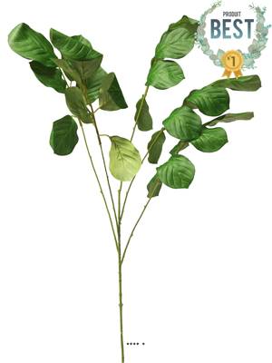 Branche de feuilles de Maranta leucineura artificielle, H118 cm - BEST