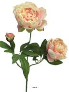 Pivoine artificielle ramifiée, 3 têtes, H 70 cm Rose pâle -  BEST