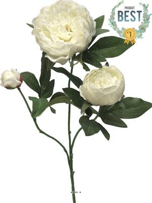 Pivoine artificielle ramifiée, 3 têtes, H 70 cm Crème -  BEST