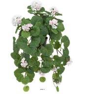 Géranium artificiel en fleurs retombant, en pot, L 50 cm Rose-crème