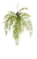 Fougre Plumosus artificielle  suspendre, L 110 cm