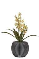 Orchidée cymbidium artificielle en pot, H 45 cm Crème vert
