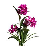 Orchidée Dendrobium factice 3 hampes vase céramique H70cmD40cm fushia