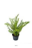 Romarin artificiel, herbe aromatique, en pot H 35 cm, D 28 cm