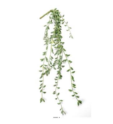 Chute de Senecio artificiel, L 52 cm, D 15 cm