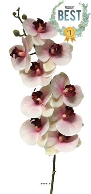 Tige orchidée phalaenopsis Factice 9fleurons H108cm Pourpre-blanc-BEST