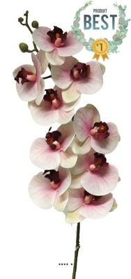 Tige d’orchidée phalaenopsis artificielle, 9 fleurons, toucher réel, H 108 cm Pourpre-blanc - BEST