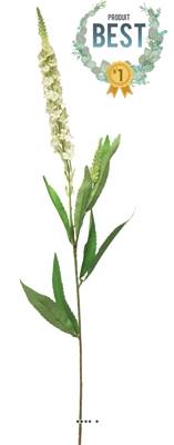 Véronique artificielle, une fleur en tige, H 76 cm Crème - BEST