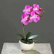 Orchidée phalaenopsis artificielle en coupe céramique H 25 cm Lavande