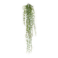 Chute de senecio artificiel Longueur 72 cm plastique