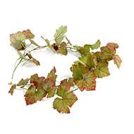 Guirlande de vigne artificielle L 118 cm 34 feuilles en tissu enduit Automne