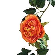 Guirlande de roses orange artificielles L 190 cm 