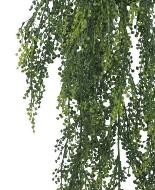Chute de senecio artificiel H 85 cm
