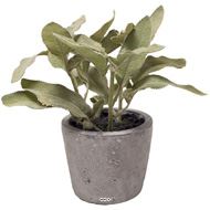 Herbe aromatique artificielle Sauge H 17 cm, D 16cm