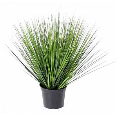 Fausse herbe touffe en pot H 60 cm D 60 cm