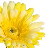 Gerbera artificiel, H 56 cm - D 11 cm superbe Jaune