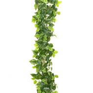 Guirlande de pothos artificiel H 180 cm D 40 cm Haut de gamme