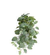 Fittonia artificiel retombant en pot, L 50 cm