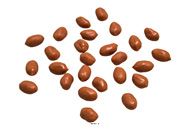 25 cacahuètes artificielles décoration  réaliste fausse nourriture