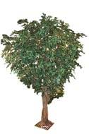 Ficus Benjamina Geant artificiel H 650 cm L 400 cm sur platine