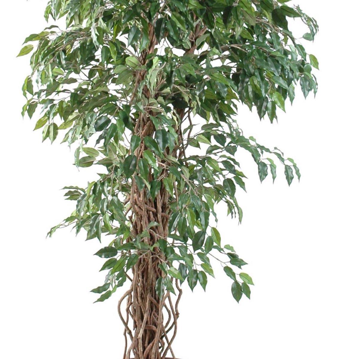 HOMESCAPES Arbre Artificiel Ficus Benjamina, Plante d’intérieur Figuier pleureur en Pot, avec