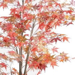 Aralia Arbre Artificiel H 220 cm D 90 cm Automne en pot