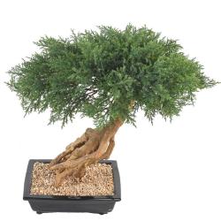 Bonsaï Genévrier Artificiel H 60 cm D 60 cm en pot