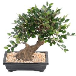 Bonsa Orme de Chine Artificiel H 30 cm D 28 cm en pot