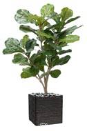 Ficus Lyrata factice tronc PE en pot Figuier factice H90cm D65cm Vert