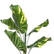 Pothos artificiel en pot 24 grandes feuilles H 120 cm