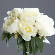 Bouquet de Pivoines artificielles crme 7 ttes Diametre 35 cm