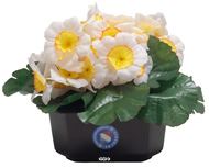 Composition fleurs artificielles cimetière pot carré primevères H17 cm D24 cm Blanc